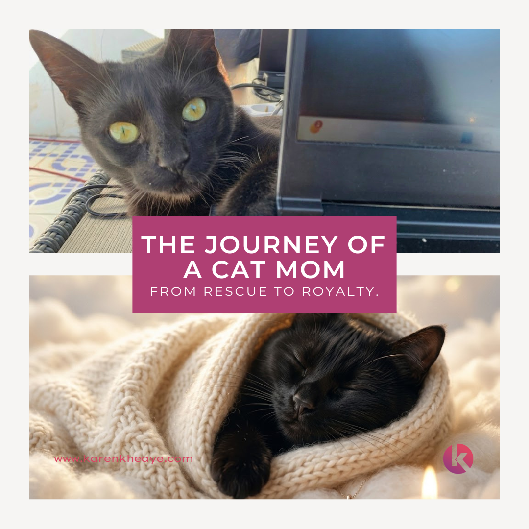The Unplanned Journey of a Fur Mom